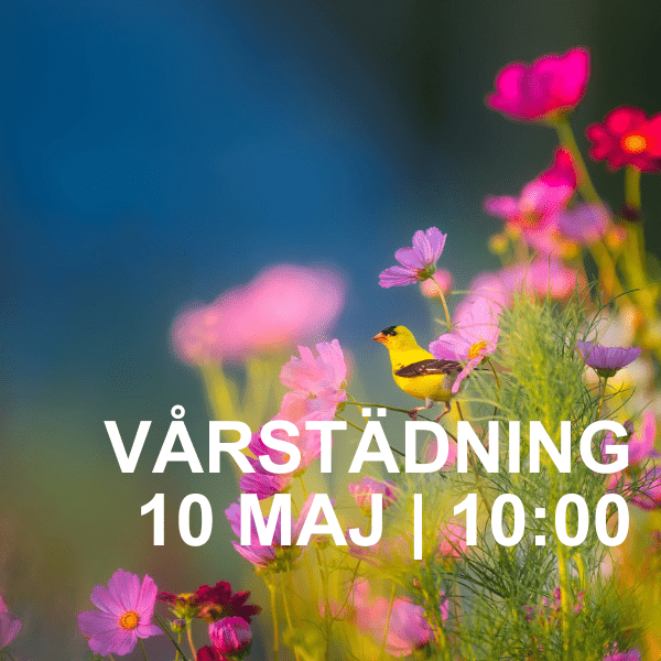 Vårstädning