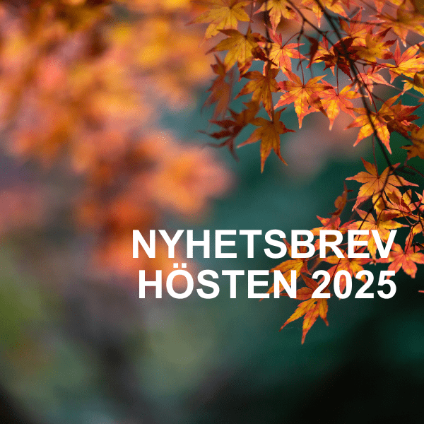 Höstbrev 2025
