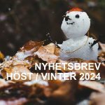 Nyhetsbrev höst / vinter 2024